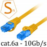 15240082858