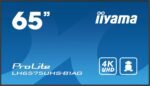 16123351581