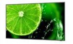 16123721958