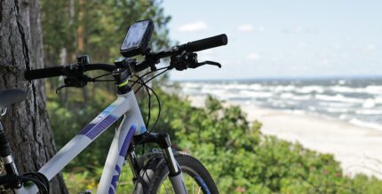 15423732413