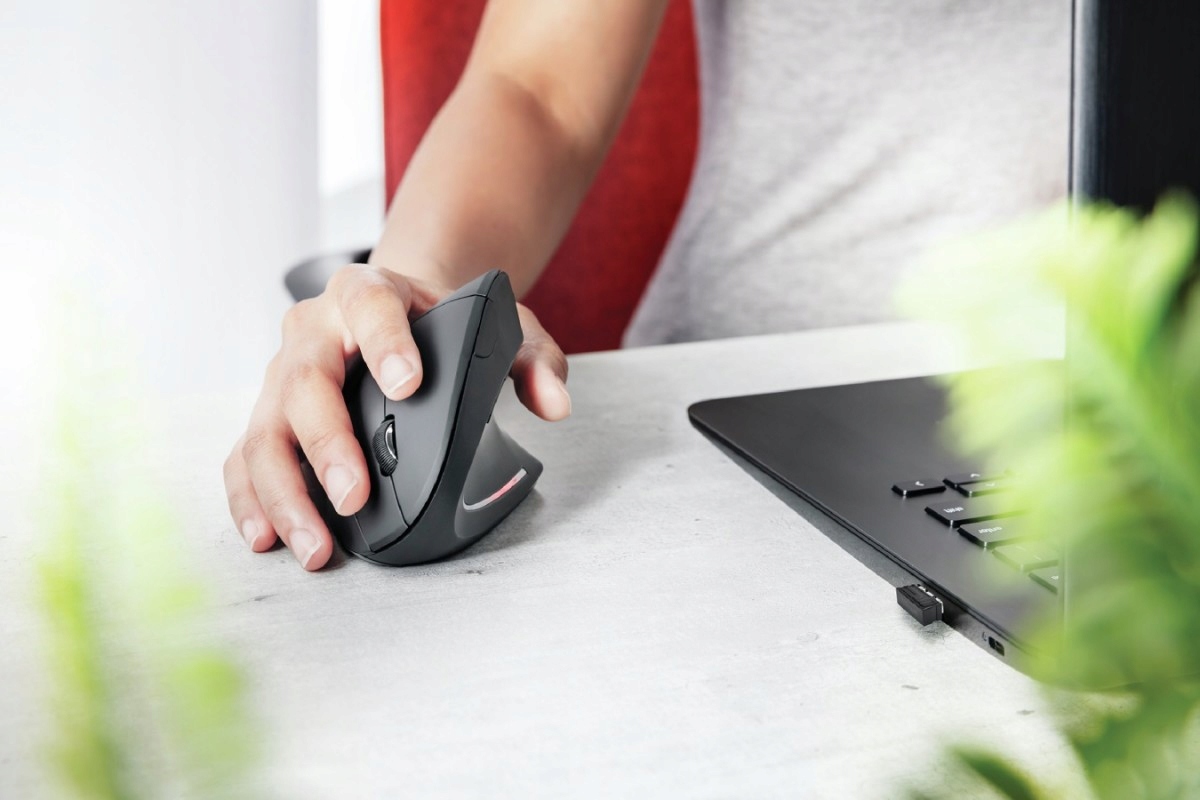 16123143850