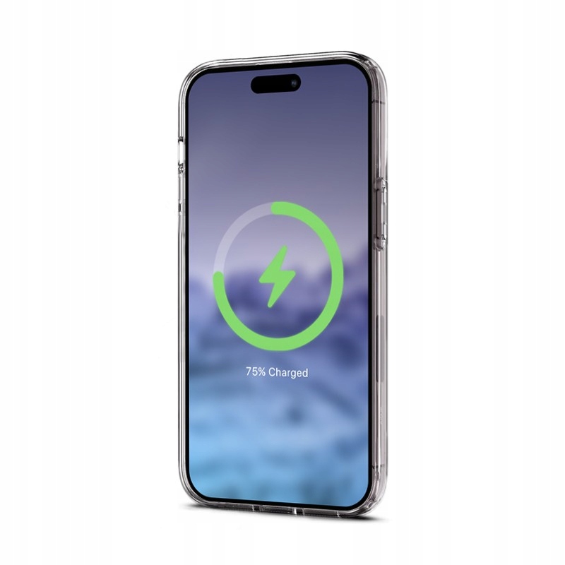 16123325608