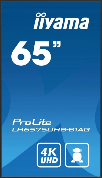 16123351581