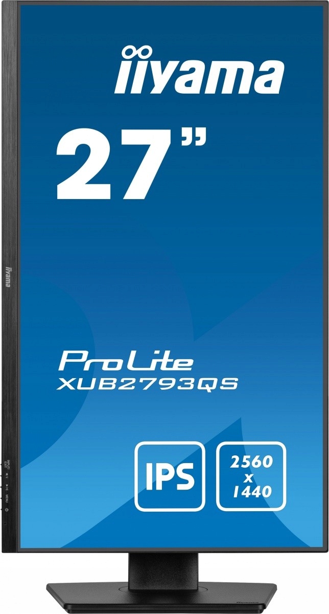 16123905331