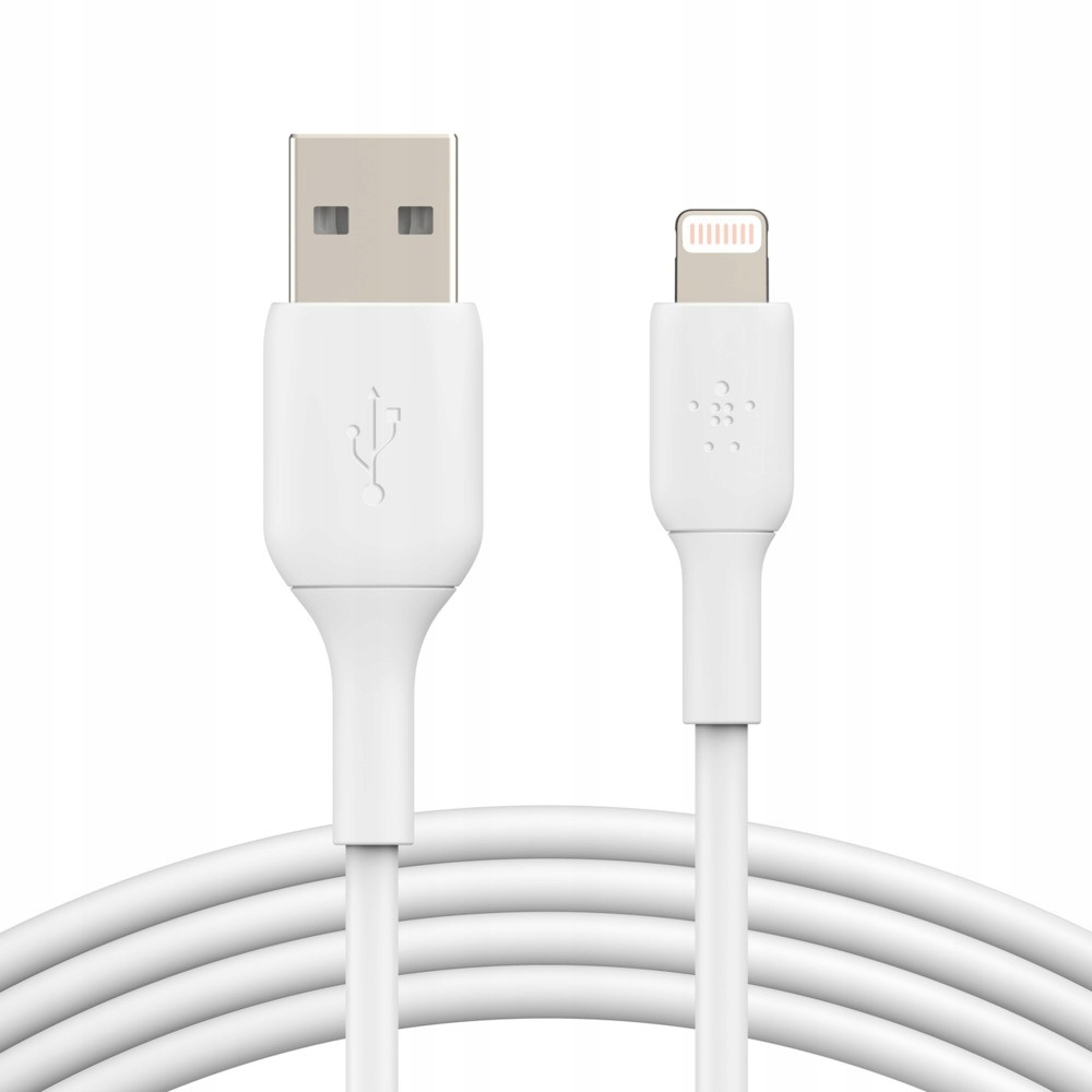 16124004647