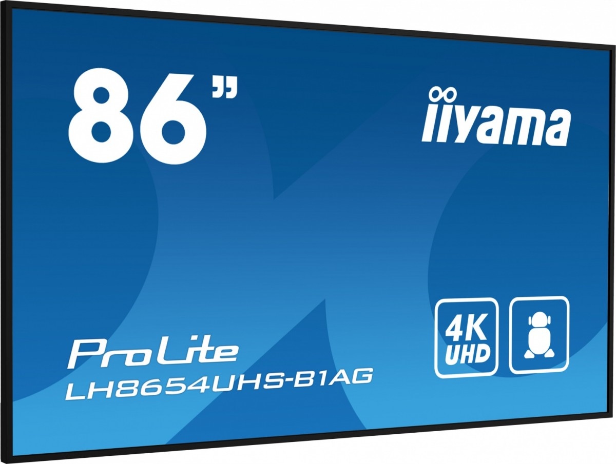 16124438876